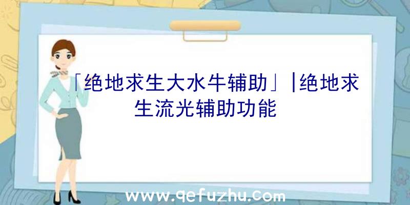 「绝地求生大水牛辅助」|绝地求生流光辅助功能